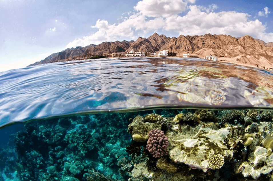 اكتشف روائع مصر: 12 وجهة سياحية لا تُنسى 26 image 3