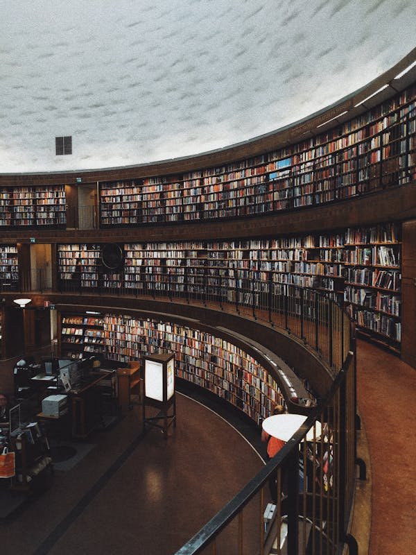 أجمل وأهم 10 أماكن سياحية في الإسكندرية: استكشاف لعروس البحر المتوسط 31 مكتبة الإسكندرية 2